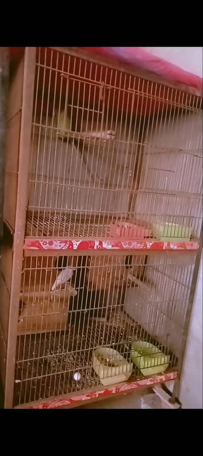 2 portion cage 03143275503