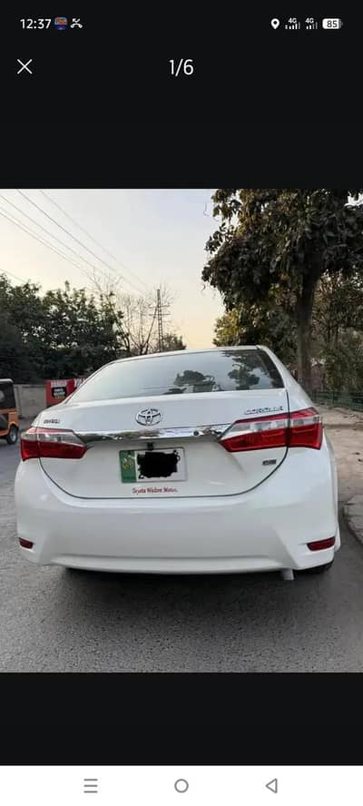 serious log rabta karay