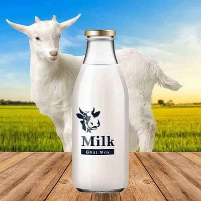 Frish goat milk for sale