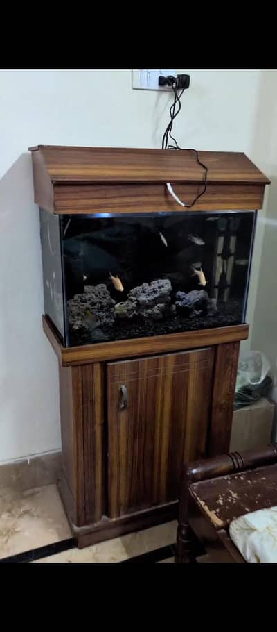 Aquarium with Fishes