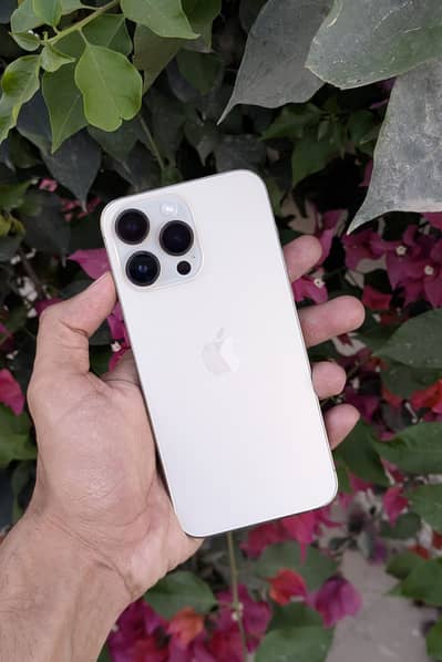 iphone 14 Pro Max (Golden Colour)