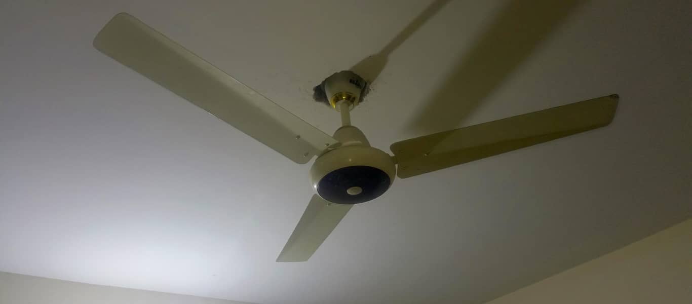 ceiling fan 1