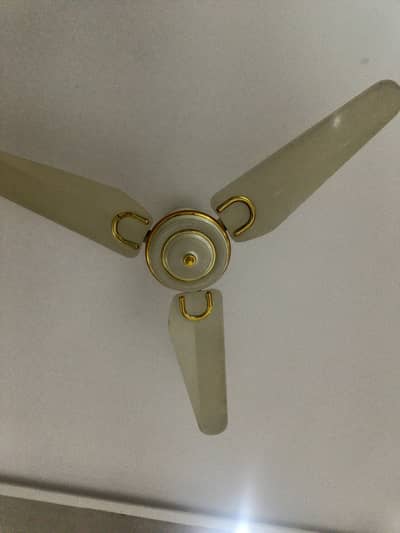 home used fan 6 peices