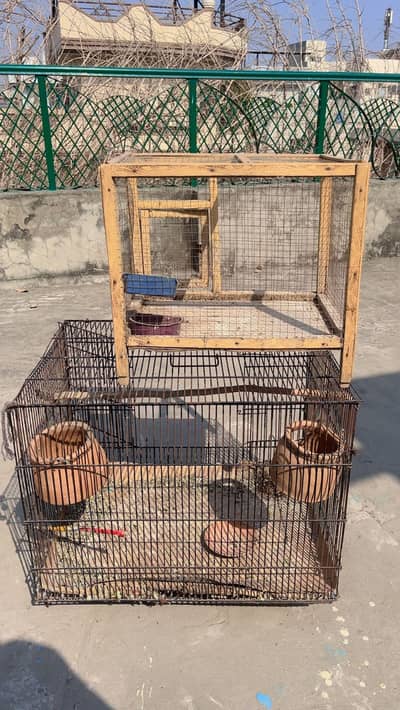 2 parrot cage for sale