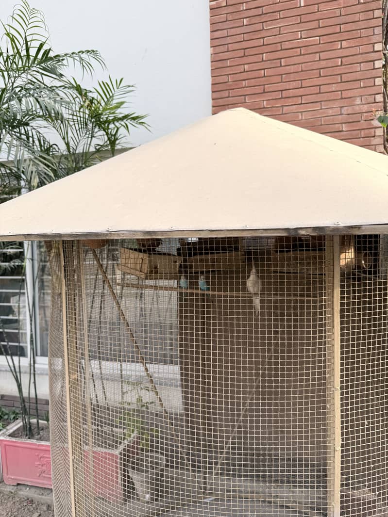 Bird cage 1