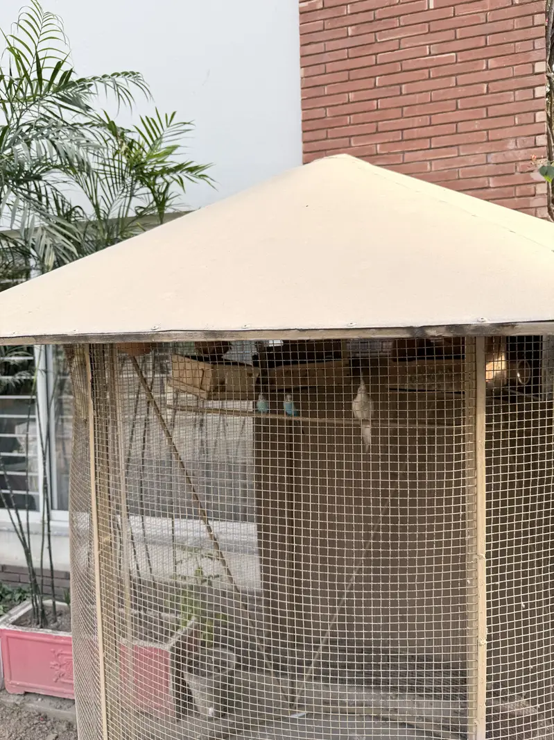 Bird cage — photo 2