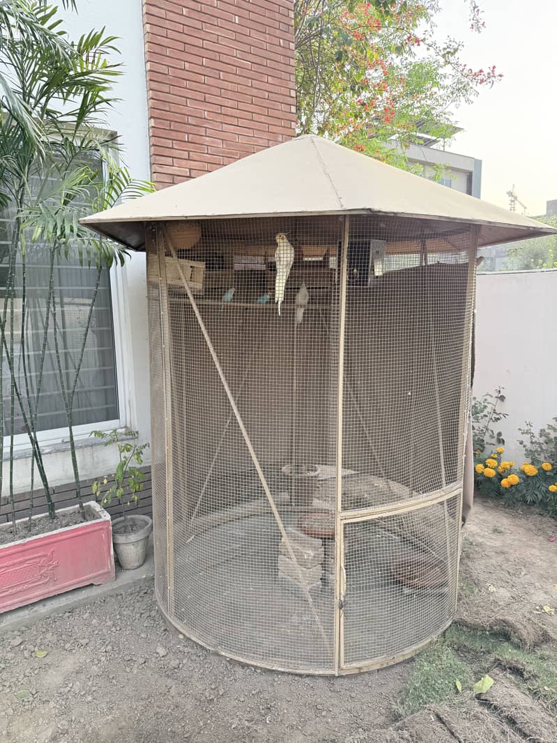 Bird cage 0