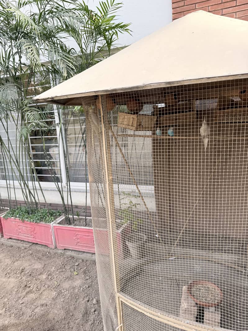 Bird cage 2