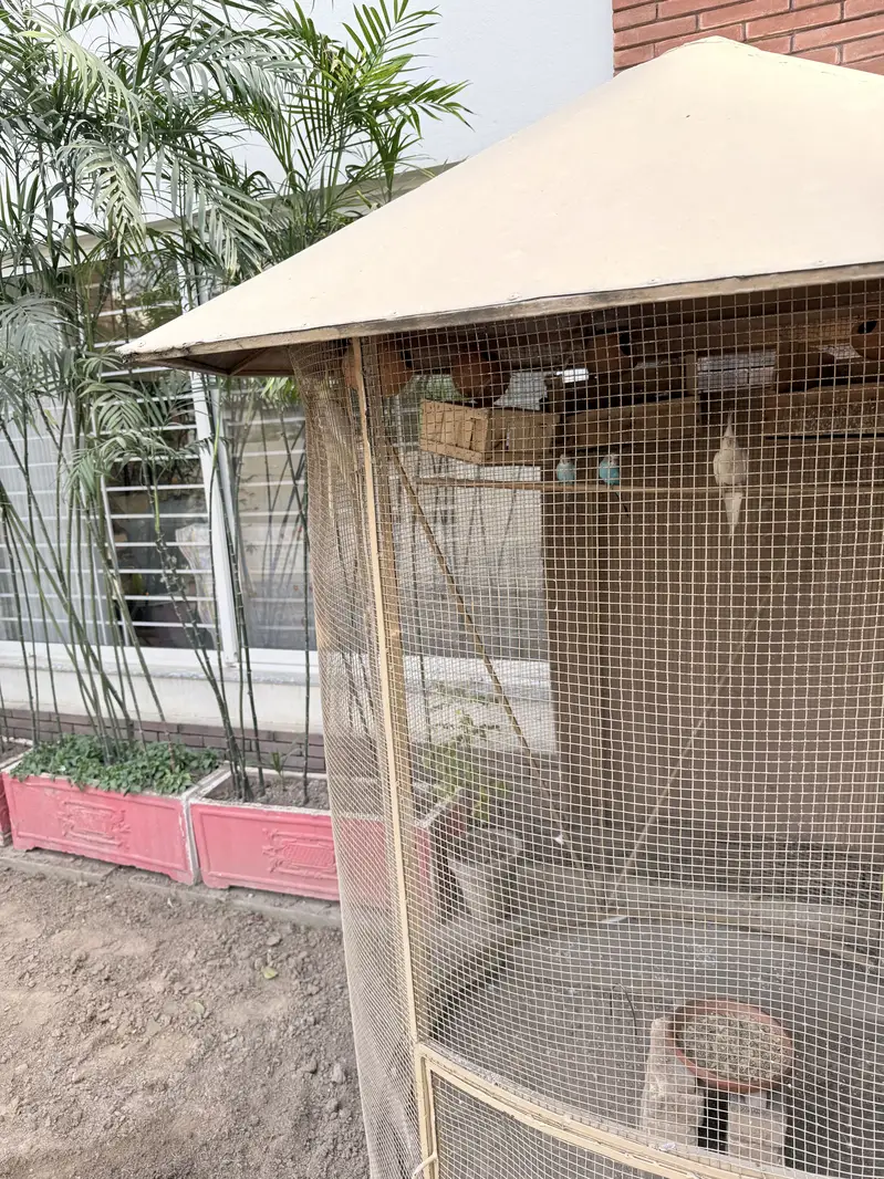 Bird cage — photo 3