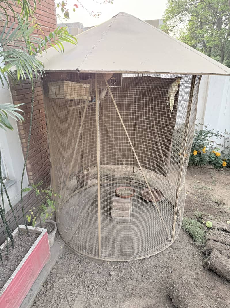 Bird cage 3