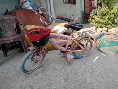 10 / 7 condition kids cycle