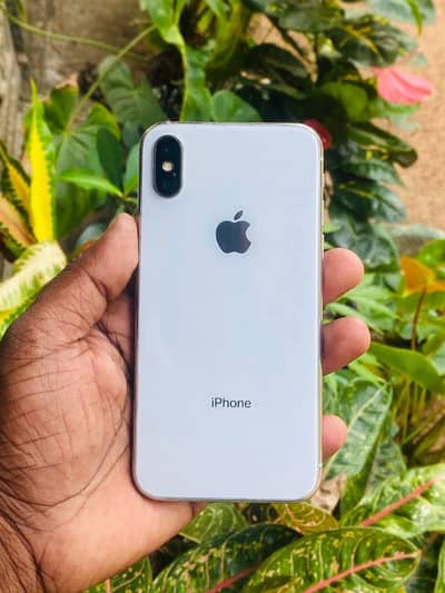 IPhone X Stroge 256 GB Pta approved 0344/049/7620 my WhatsApp