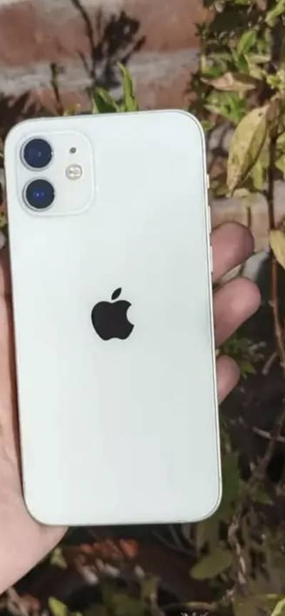 iphone 12 pta approved