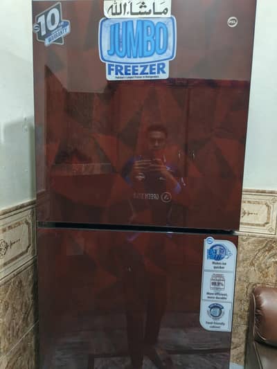 PEL Refrigerator Large Size