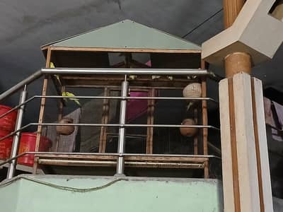 beautiful love birds total 15 parrots with cage included