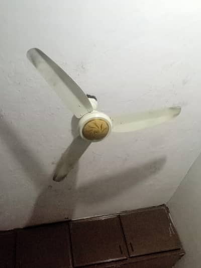 Remote fan