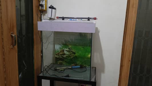 A. One condition aquarium size 12x18x24