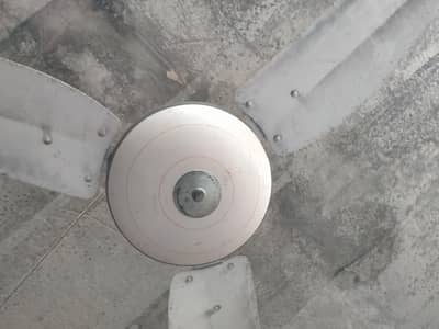 ceiling fan ok ha