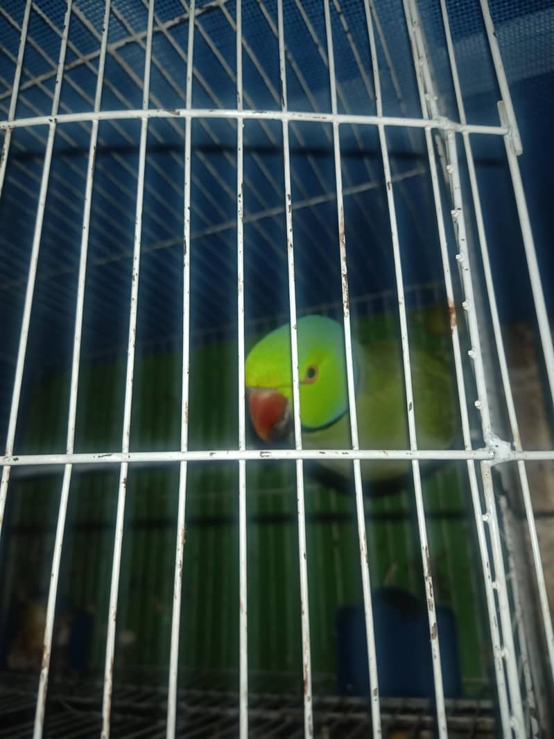 hand train learning speaking 0