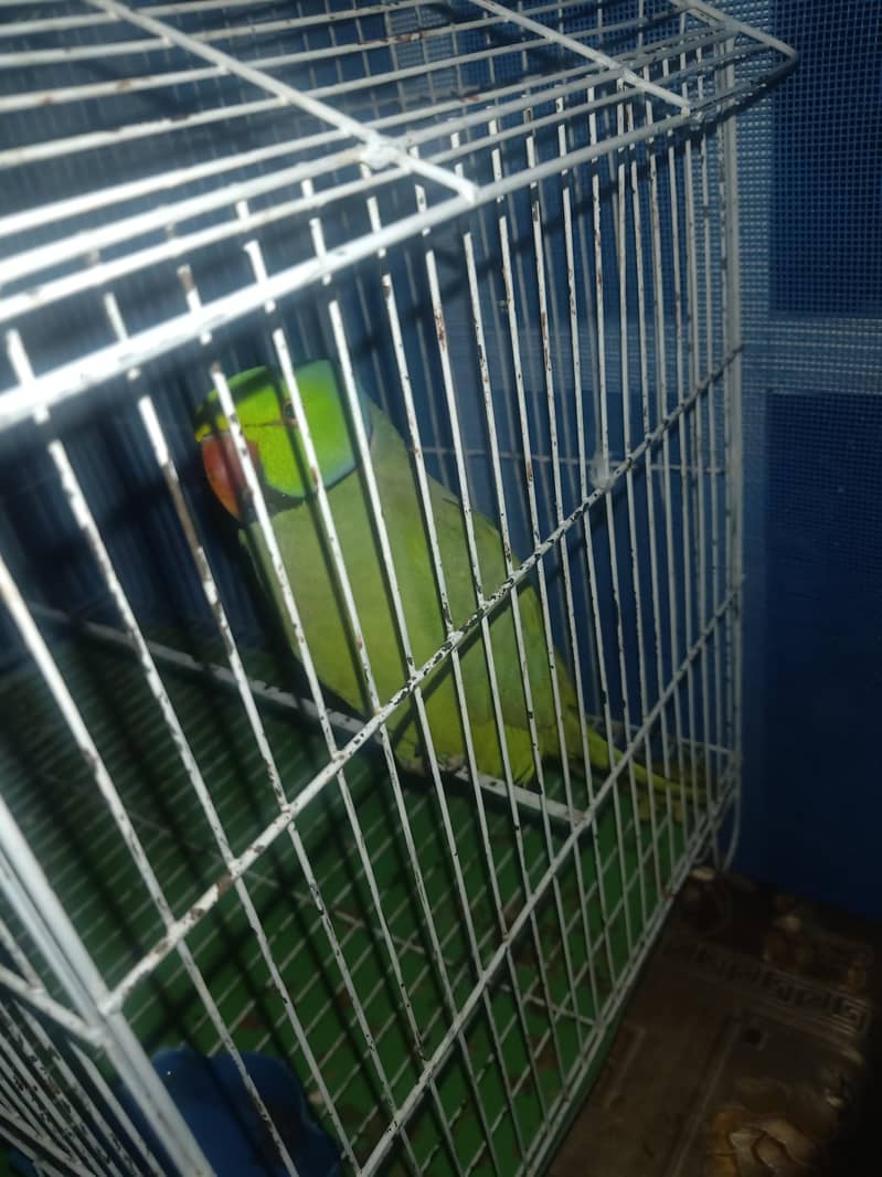 hand train learning speaking 1