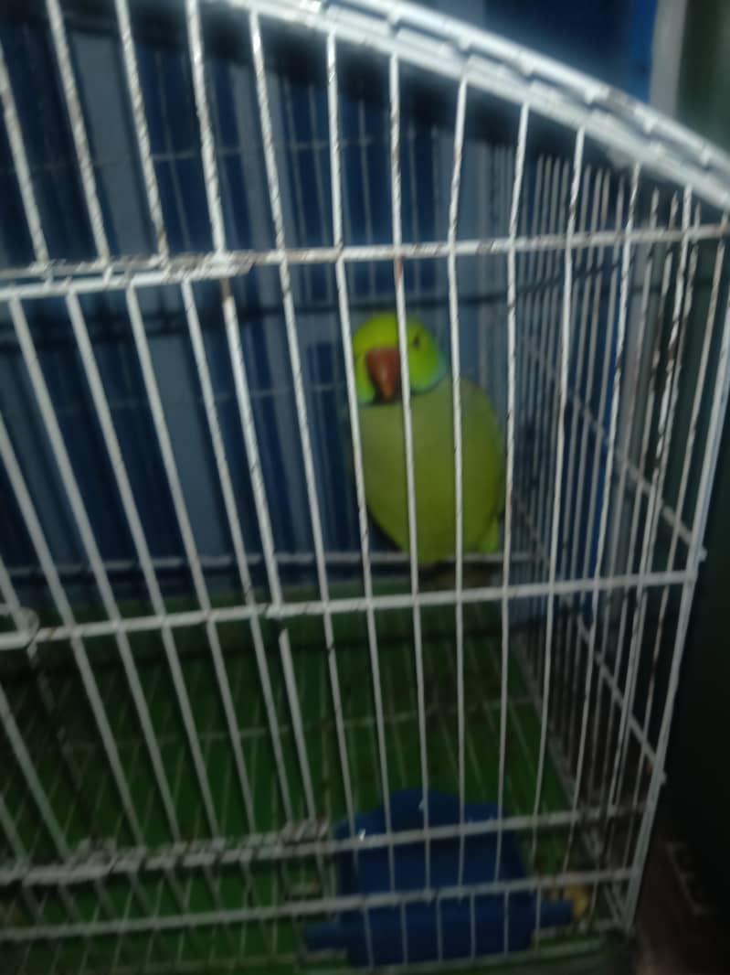 hand train learning speaking 2