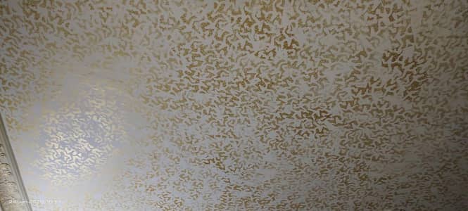 single story House for rent