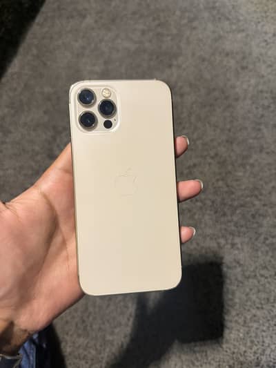 12 Pro PTA Approved Gold Color