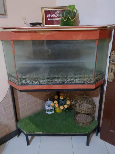 fish aquarium