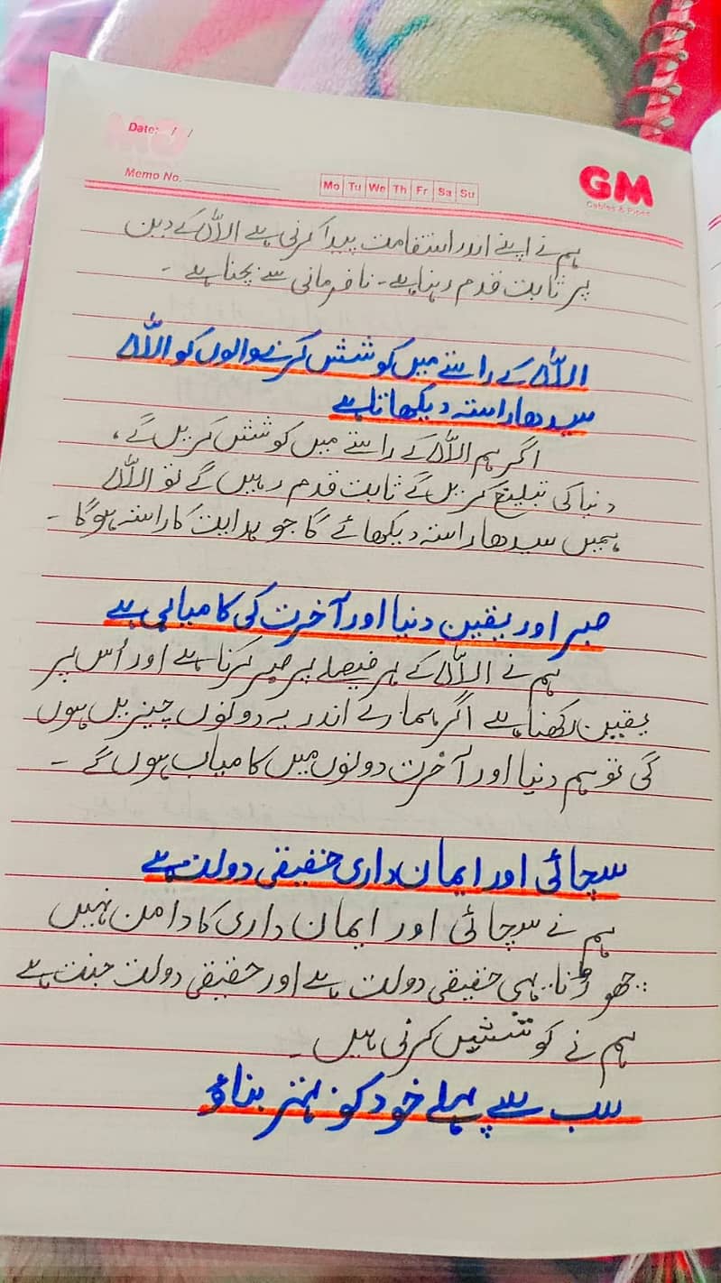 ورک صاف ستھری لکھائی میں مکمل کرنے کی سروس فراہم کرتی ہوں۔ اردو اور ا 2