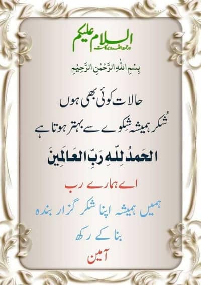 mujhay job ki need hai  mujhay driving b ati hai