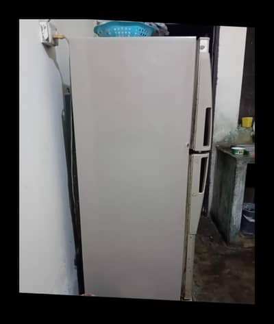 Fridge Medium Size