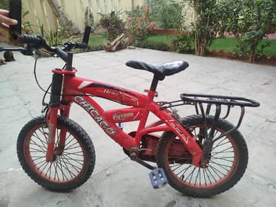 Chicago Imported Size 16