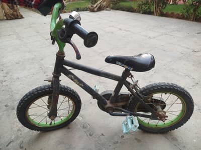 Apollo Imported Size 12