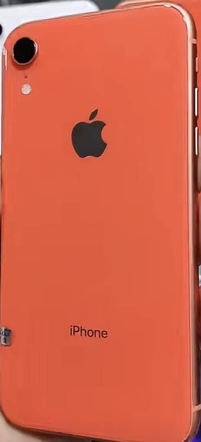 Iphoe xr