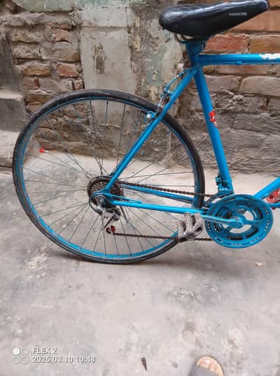 phoenix racing cycle