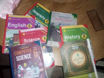 books for class 6 dar-e-arqam school 