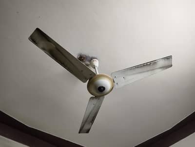 Ceiling Fan
