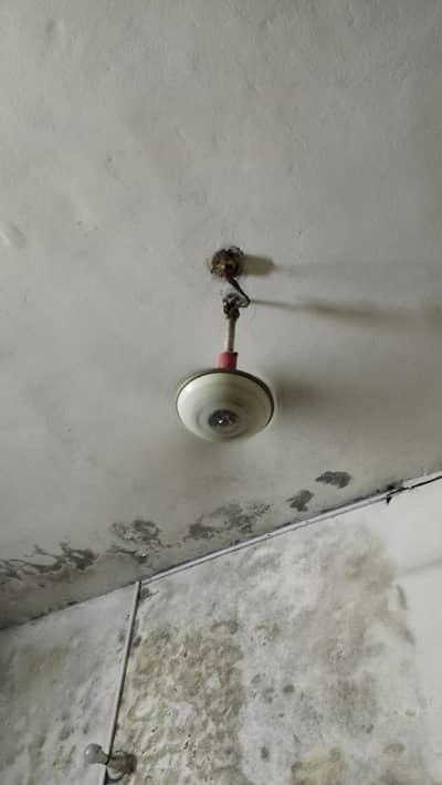 Ceiling fan