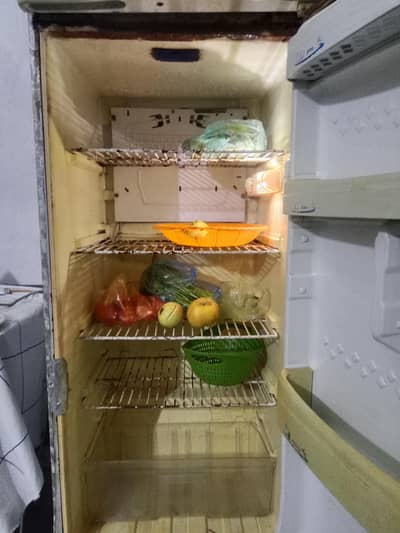 pel freezer all okay 03171782633 wattsup number. . . . . .