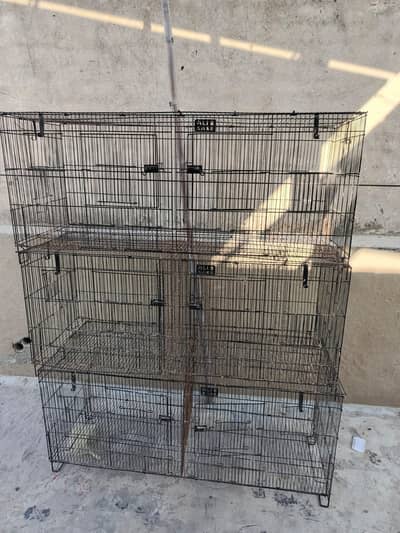 Birds cages