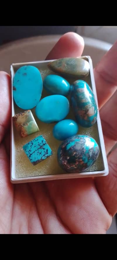 Natural Clean and Shajri Turquoise Iranian