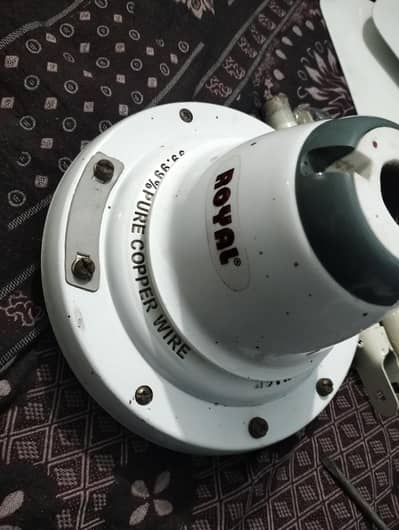 Royal fan 50wt