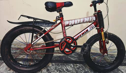 Imported Phoenix Cycle
