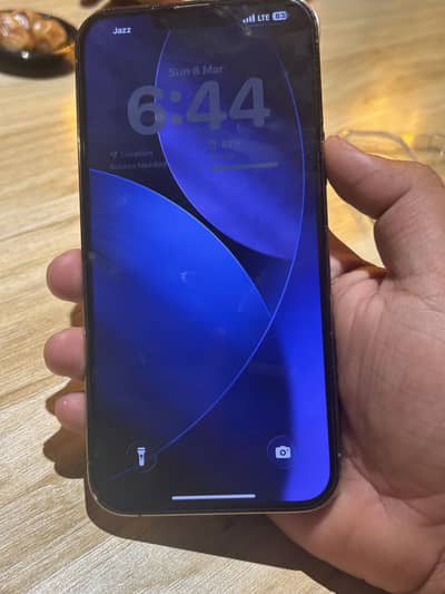 Iphone 13 pro max FU