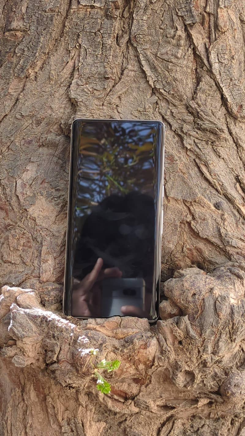 Google pixel 7 pro 5