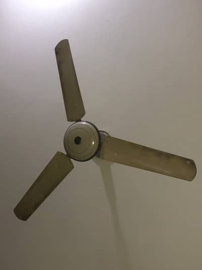 PAK Ceiling Fan