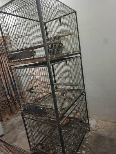 Cage Available
