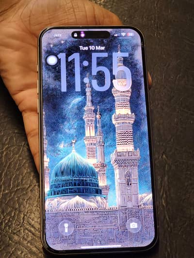 iPhone 15 promax PTA approved