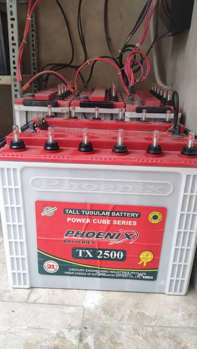 2 Phoenix Tx-2500 batteries & Biztek UPS