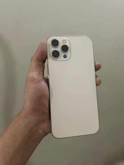 Iphone 12 pro max F. U